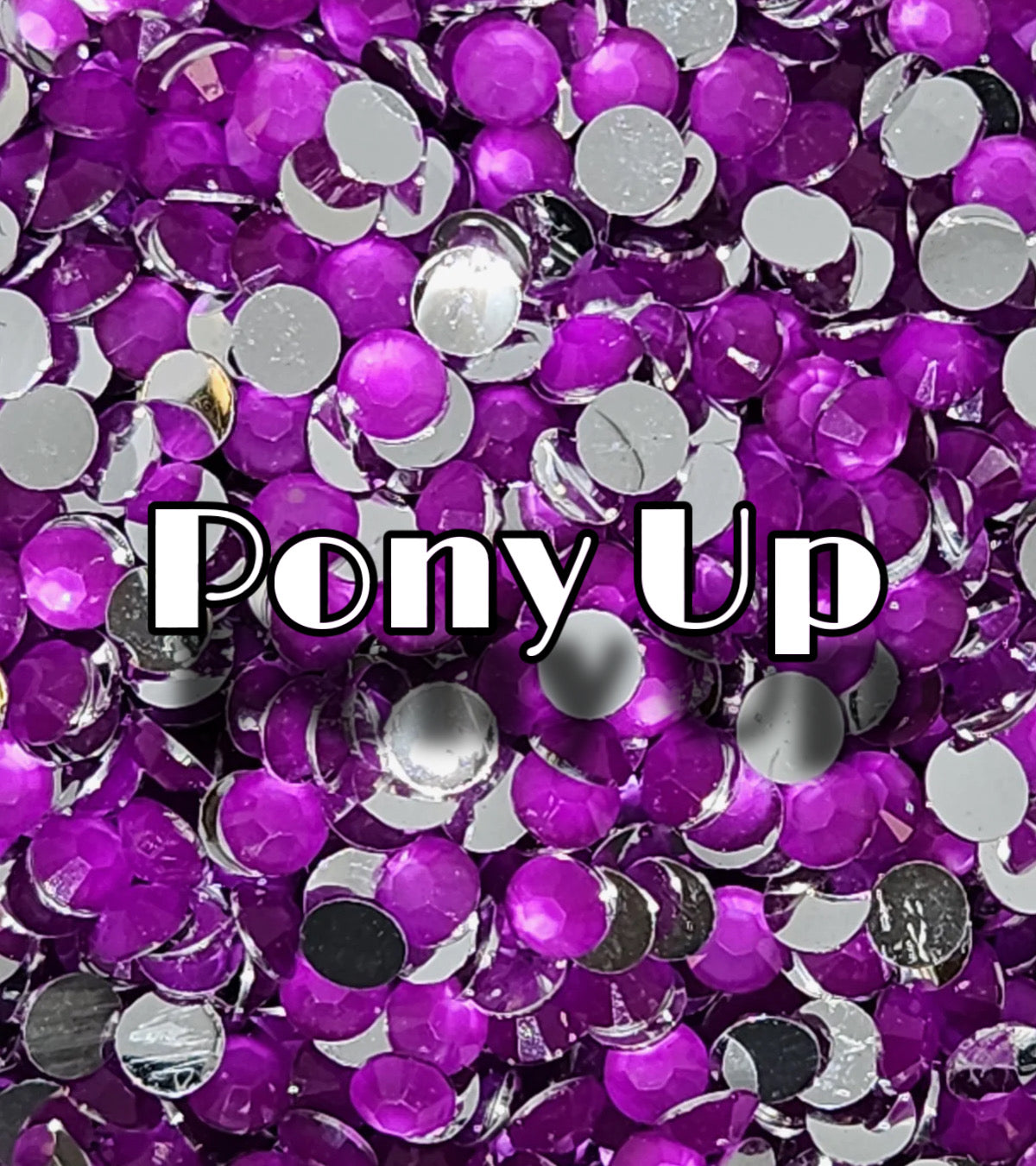 Pony Up (Silverback)