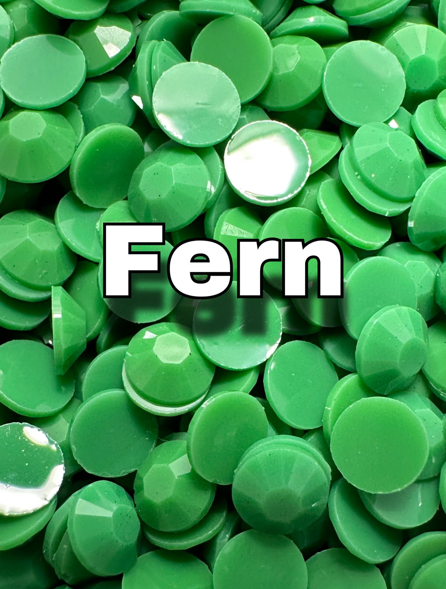 Fern