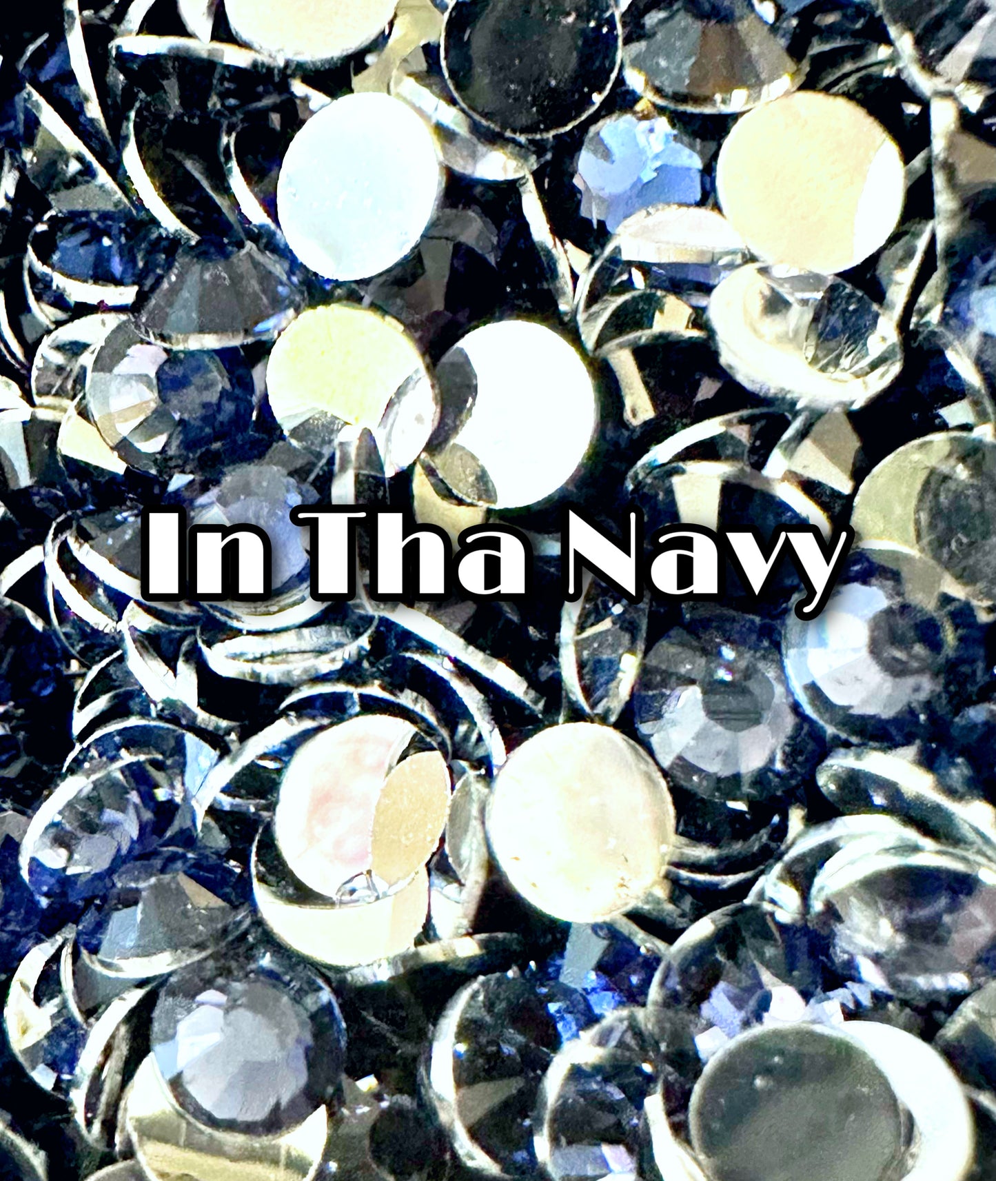 In Tha Navy (Silverback)